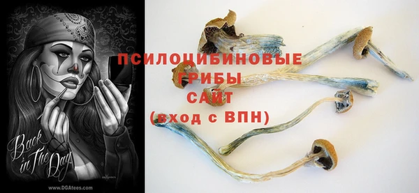 соль курить ск Армянск