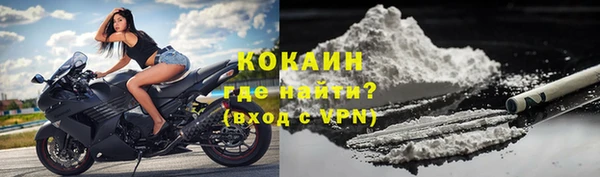 трава Пересвет